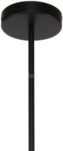 Потолочная люстра F-Promo 3088-10P