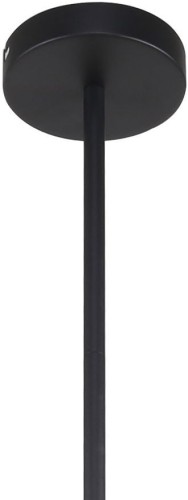 Потолочная люстра F-Promo 3092-10P