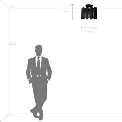 Потолочная люстра Lightstar 712042