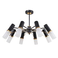 Потолочная люстра F-Promo 2558-8P