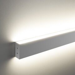 Настенный светильник Elektrostandard 101-100-40-103