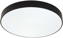 Потолочный светильник F-Promo 4684-8C