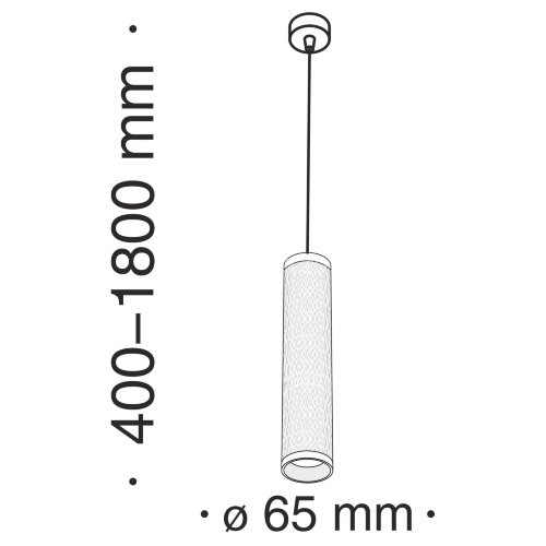 Подвесной светильник Maytoni P038PL-01W