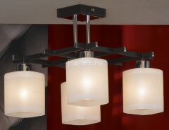 Потолочная люстра Lussole LSL-9007-04