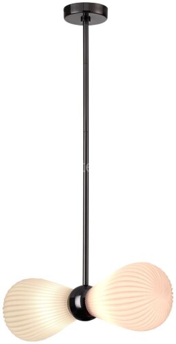 Потолочная люстра Odeon Light 5418/2