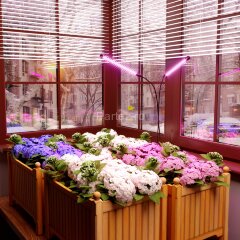 Настольная лампа для растений Elektrostandard FT-005 чёрный