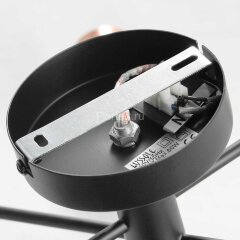 Потолочная люстра Lussole LGO LSP-8200