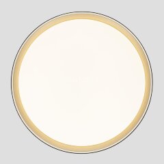 Потолочный светильник Citilux CL751451G