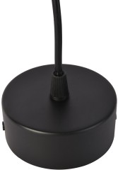 Подвесной светильник Favourite 3077-1P