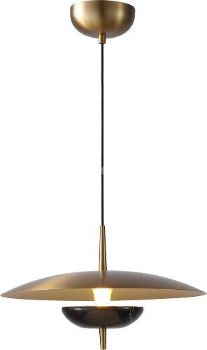 Подвесной светильник Favourite 4246-1P