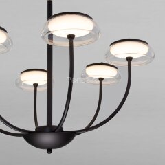 Потолочная люстра Eurosvet 50388 LED Черный