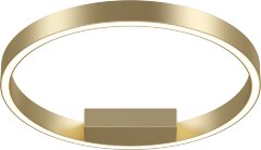 Потолочный светильник Maytoni MOD058CL-L25BSK