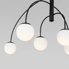 Потолочная люстра Eurosvet 30179/6 черный