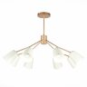 Потолочная люстра Evoluce SLE155902-08