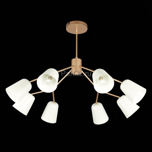 Потолочная люстра Evoluce SLE155902-08