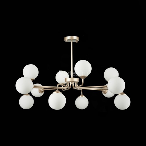 Потолочная люстра ST Luce SLE106203-12