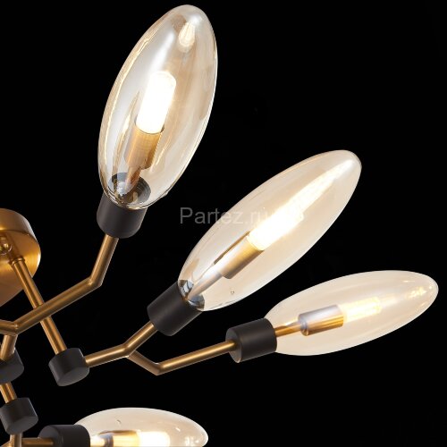 Потолочная люстра ST Luce SL1174.302.08