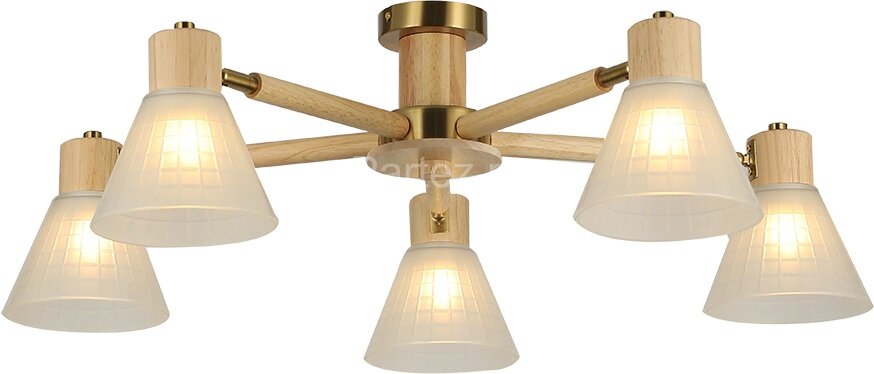 Потолочная люстра Arte Lamp A4096PL-5BR