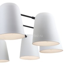 Подвесная люстра F-Promo 2762-10P