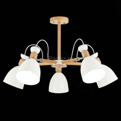 Потолочная люстра Evoluce SLE103802-05