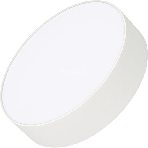 Потолочный светильник Arlight 022231(2)