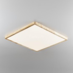 Настенно-потолочный светильник Citilux CL738K502V