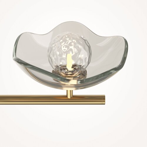 Потолочная люстра Maytoni MOD207PL-05BS