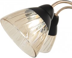 Потолочная люстра Arte Milano 320119/3 FG+BK