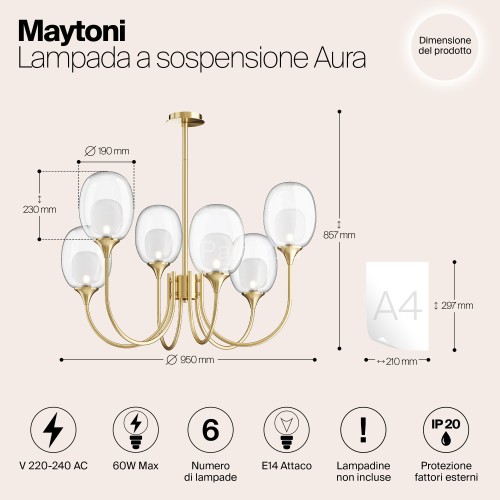 Потолочная люстра Maytoni MOD016PL-06BS