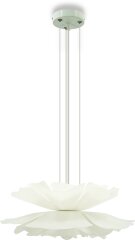 Подвесная люстра Lightera LE116L-55W