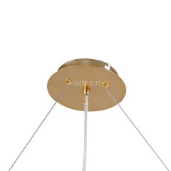 Подвесная люстра F-Promo 2772-12P