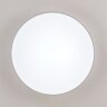 Потолочный светильник Citilux CL72495G0