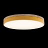 Потолочный светильник Loft It 10001/36 Yellow