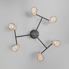 Потолочная люстра Eurosvet 70115/6 черный
