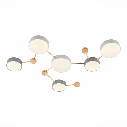 Потолочная люстра Evoluce SLE600102-06