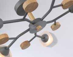 Потолочная люстра Ambrella TR3033233