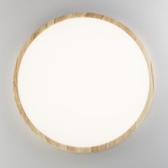 Настенно-потолочный светильник Citilux CL738322V