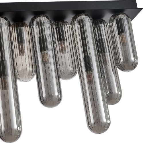 Потолочный светильник Favourite 4454-12P