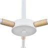 Потолочная люстра Lumion 8097/3C