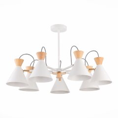 Потолочная люстра Evoluce SLE125102-07