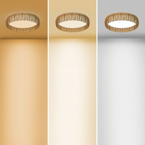 Потолочный светильник Mantra 8195