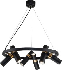 Подвесная люстра Favourite 2997-6P