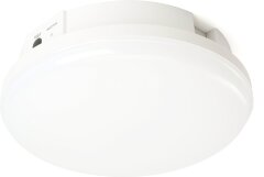 Потолочный светильник Feron 48986