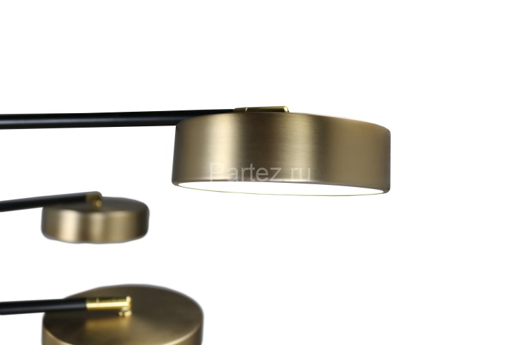 Потолочная люстра Zortes ZRS.01243.08