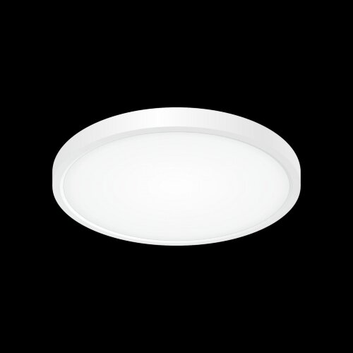 Потолочный светильник Citilux CL738240V