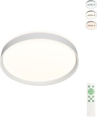 Потолочный светильник Denkirs DK6511-WH/1