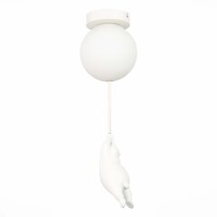 Потолочная люстра Evoluce SLE115402-01