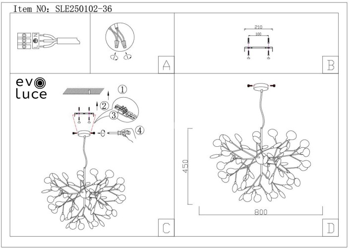 Потолочная люстра Evoluce SLE250102-36
