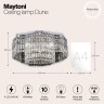 Потолочная люстра Maytoni DIA005CL-10CH